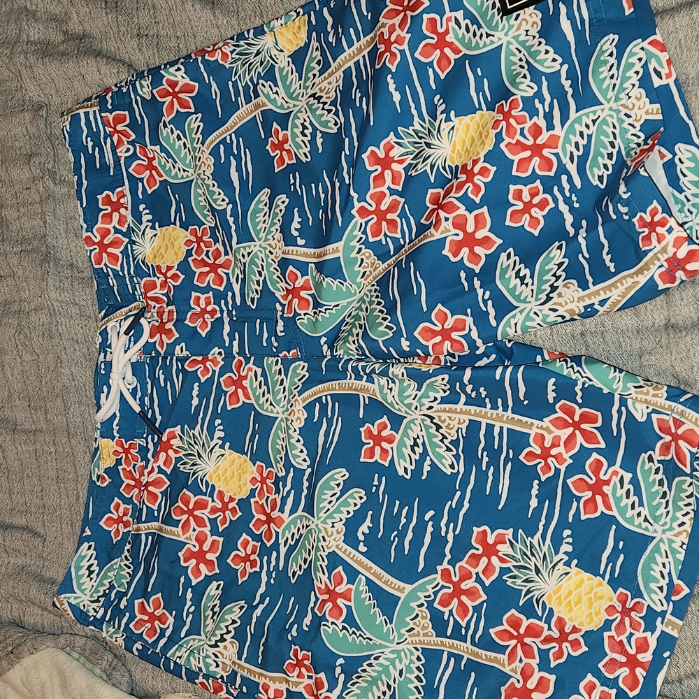 American Eagle Swim Trunks